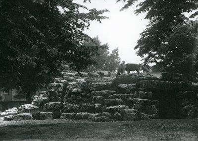 O Paddock ElandAntelope no Zoológico de Londres em junho de 1924 de Frederick William Bond