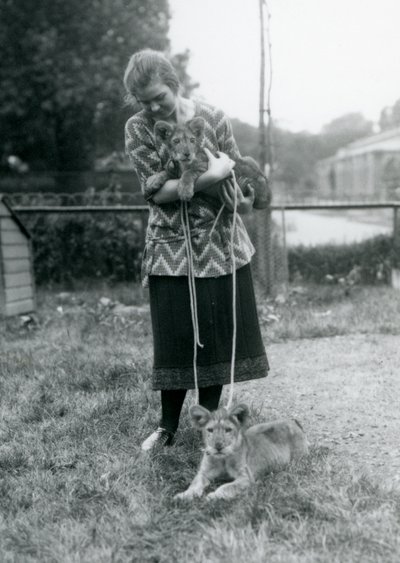 Dois filhotes de leão com uma jovem no zoológico de Londres em agosto de 1925 de Frederick William Bond