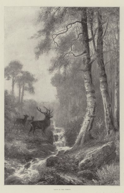 Amanhecer na floresta de Frederick William Hayes