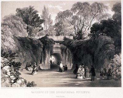 Jardins Zoológicos, Regent