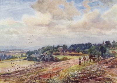 Grafton faminto de Frederick William Newton Whitehead