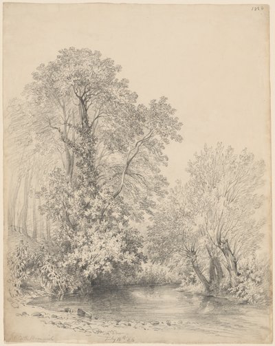 Árvores à beira do rio no Castelo Bromwich de Frederick William Watts