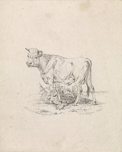 Taurus de Frederik Lodewijk Huygens