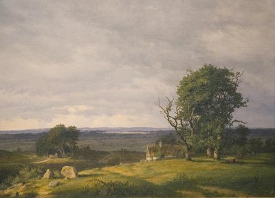 Paisagem do Esromegnen de Frederik Rohde