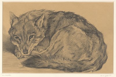Raposa recortada de Frederik Willem Zürcher