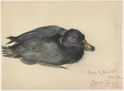 escoteiro preto de Frederika Henriëtte Broeksmit