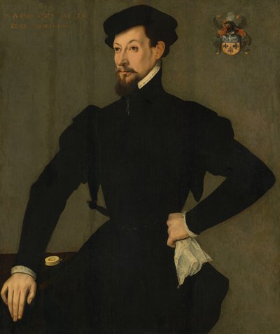 Retrato de um membro da família Quaratesi de French 16th Century