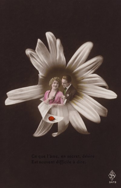 Um jovem casal no centro de uma flor com joaninha (fotocolagem matizada) de French Photographer