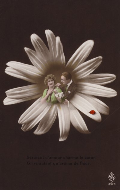 Um jovem casal no centro de uma flor com joaninha (fotocolagem matizada) de French Photographer