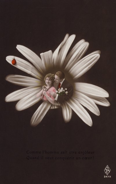 Um jovem casal no centro de uma flor com joaninha (fotocolagem matizada) de French Photographer