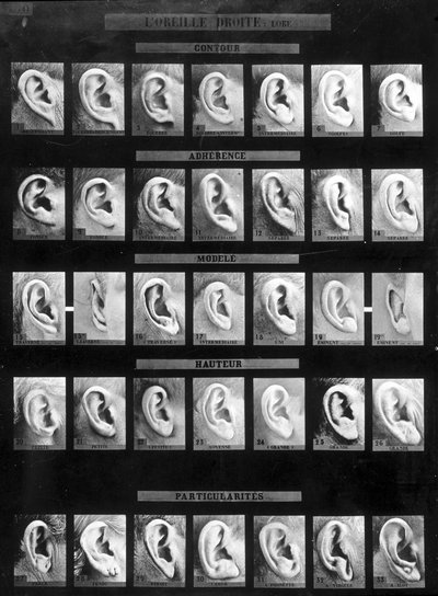 Classificação antropométrica e identificação do sistema Bertillon: comparação de diferentes tipos de orelhas retas (lobo). sd. Final do século XIX. de French Photographer