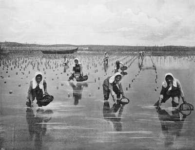 Arcachon - Oyster Parsers (foto a p/b) de French Photographer