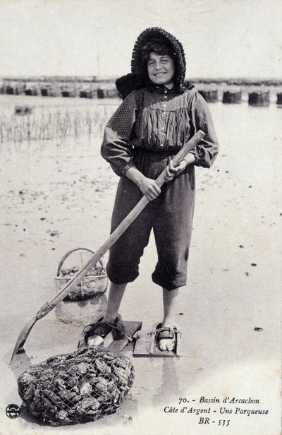 Bacia de Arcachon: uma máquina de fazer ostras - postal de French Photographer