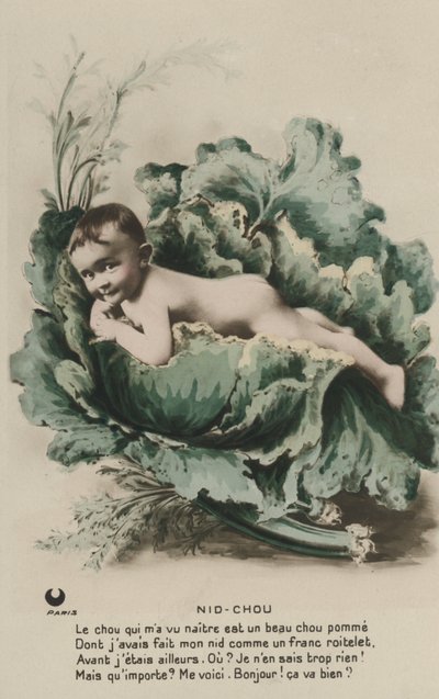 Bebê em um repolho de French Photographer
