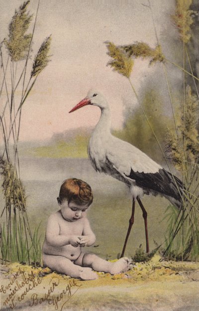 Bebê com cegonha de French Photographer
