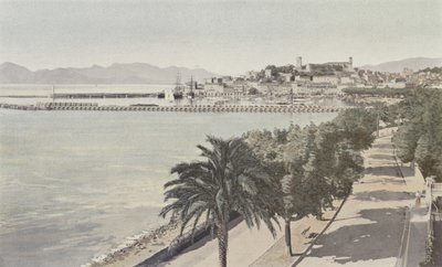 Cannes, porto, e, cidade velha, boulevard de la croisette de French Photographer