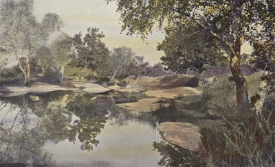 Fontainebleau, Floresta, Mare de Franchard de French Photographer