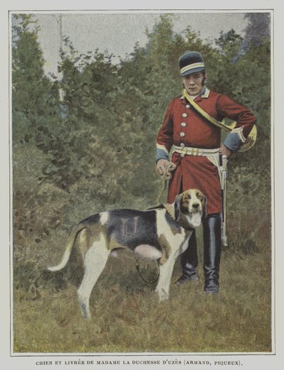 Caçador e caçador na cavalariça da Duquesa de Uzes, França (foto a cores) de French Photographer
