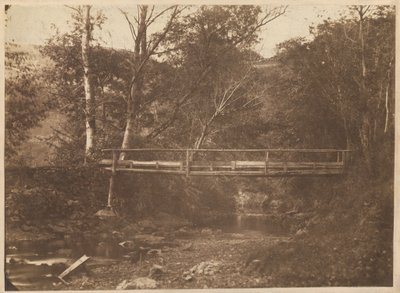Paisagem com árvores e ponte,c. 1850 (foto) de French Photographer