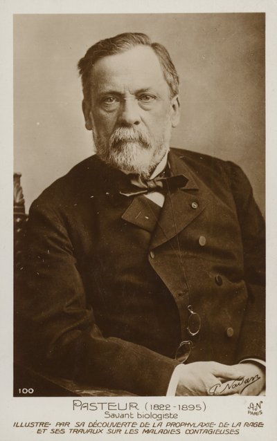 Louis Pasteur (1822-1895), químico e microbiologista francês de French Photographer