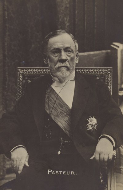 Louis Pasteur (1822-1895), químico e microbiologista francês de French Photographer