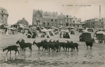 Mers - uma parte da praia. Postal enviado em 1913. de French Photographer