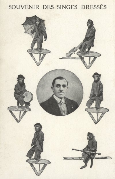 Macacos em traje de French Photographer