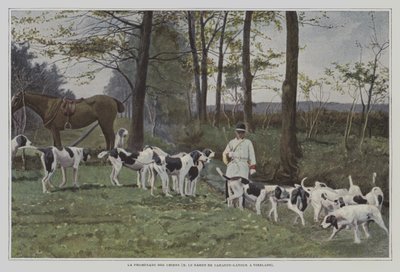 Pacote de cães de caça do Barão de Carayon-Latour em Virelade, França (foto a cores) de French Photographer