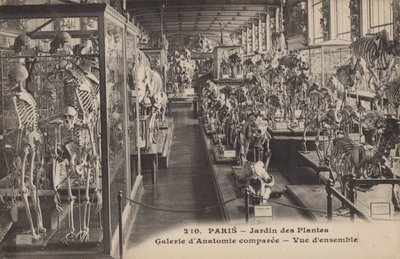 Paris, Jardin des Plantes de French Photographer