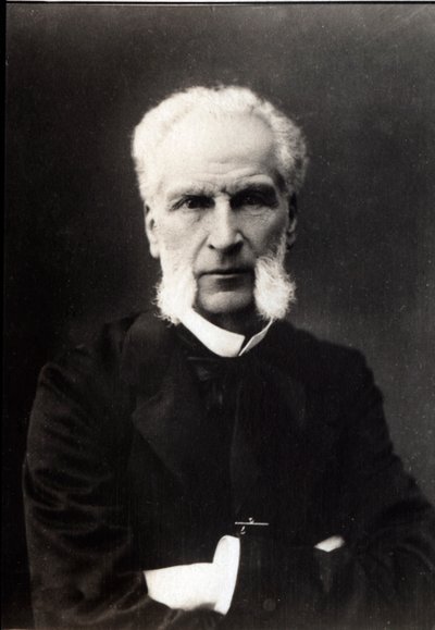 Retrato de Aime Joseph Edmond Rousse (1817-1906), advogado francês. de French Photographer