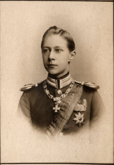 Retrato do príncipe William (1882-1951), o príncipe herdeiro alemão de French Photographer