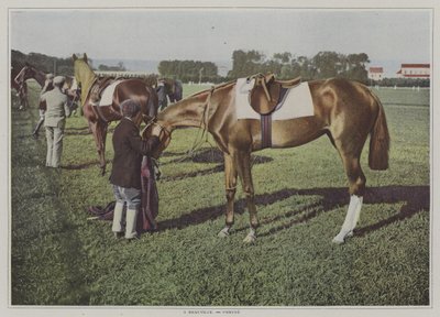 Racehorses em Deauville, França (foto a cores) de French Photographer