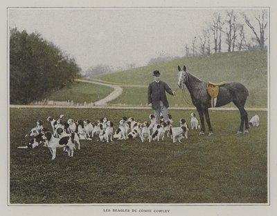 Os beagles do Conde Cowley (foto a cores) de French Photographer