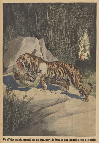 Um oficial britânico, levado por um tigre, encontra a força para matar o animal com a sua pistola (cor litho) de French School