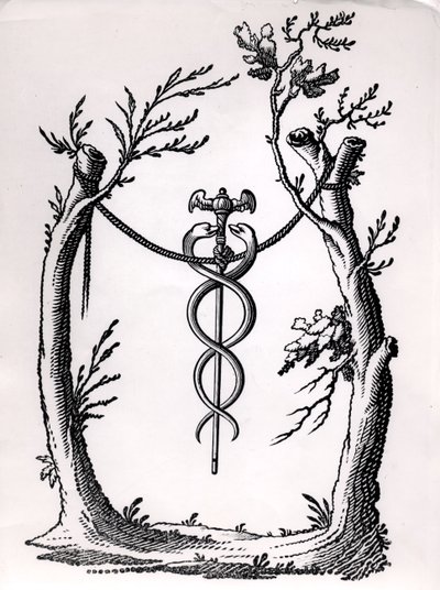 Um caduceu de French School