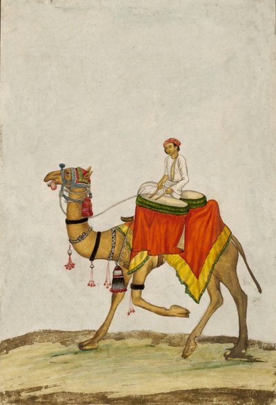 Um Camelo com seu Cavaleiro tocando tambores, c. 1840 (guache) de French School