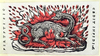 Uma Salamandra, 1ª metade do século XVI de French School
