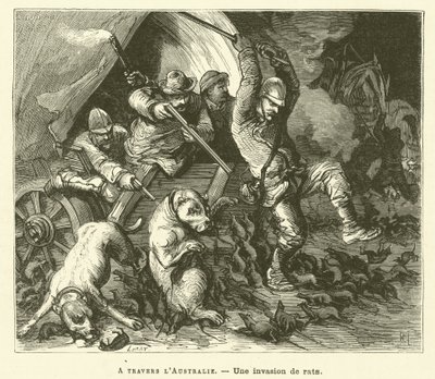 Através da Austrália (gravura) de French School