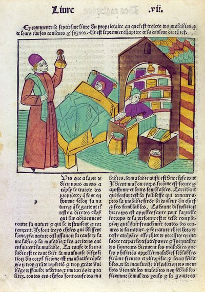 Um paciente com um médico e um farmacêutico, de The Book of Things, de Barthelemy English, 1485 (cor xilogravura) de French School