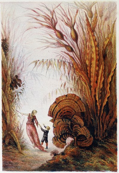 Uma mulher e um rapaz a passear pelo mundo subaquático - in "Viagem ao fundo do mar" de H. de la Blanchère. Paris, ed. Jouvet et Cie, sd. 1880. de French School