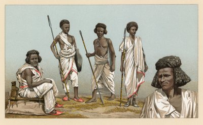 Fantasia de África de French School