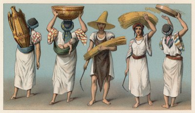 Fantasia de África de French School