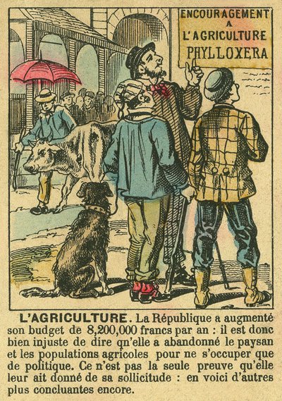 A agricultura ilustra os benefícios da Terceira República sobre o investimento agrícola e a sua preocupação com as populações camponesas. Gravura, em "Le Figaro, suplemento", em 30/03/1889, Paris. Coll. Selva. de French School