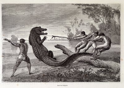 Alligator Hunt, Brasil, "Round the World" 2ª semana 1874. de French School