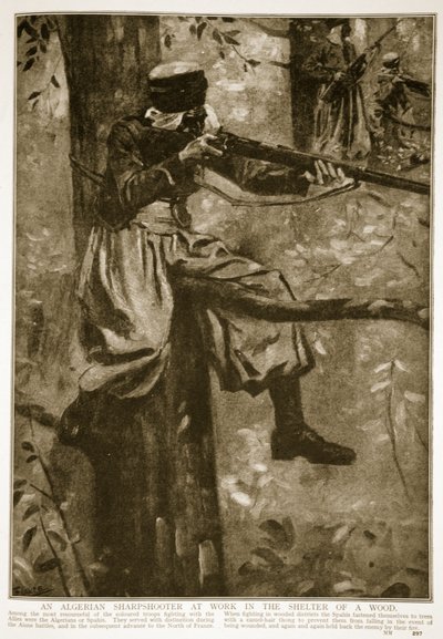 Um atirador argelino em ação no abrigo de uma floresta, 1914-19 de French School