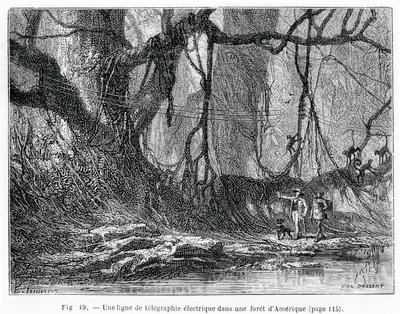 Uma linha telegráfica elétrica em uma floresta americana, c.1870 (gravura) de French School
