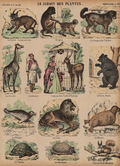 Animais do Jardin des Plantes, Paris, França de French School