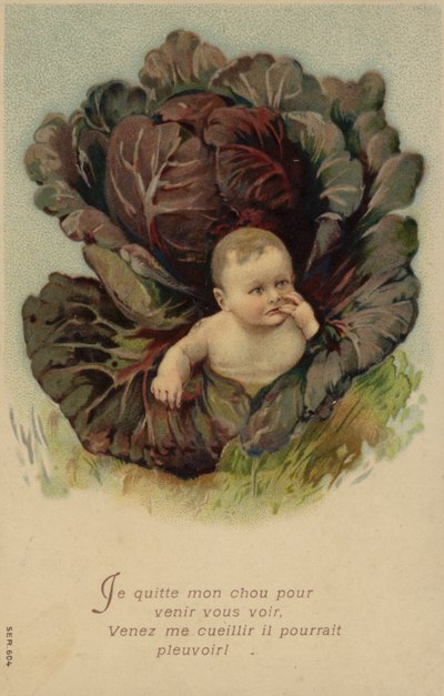 Bebé a emergir de uma couve (cromolitho) de French School