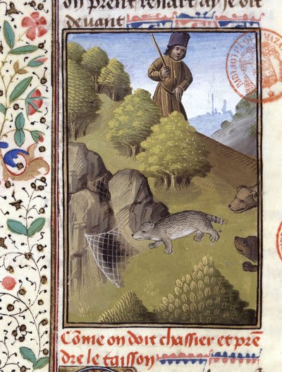 Caça ao texugo - no "Livro de caça de Gaston Phoebus, Conde de Foix, Senhor de Béarn". de French School