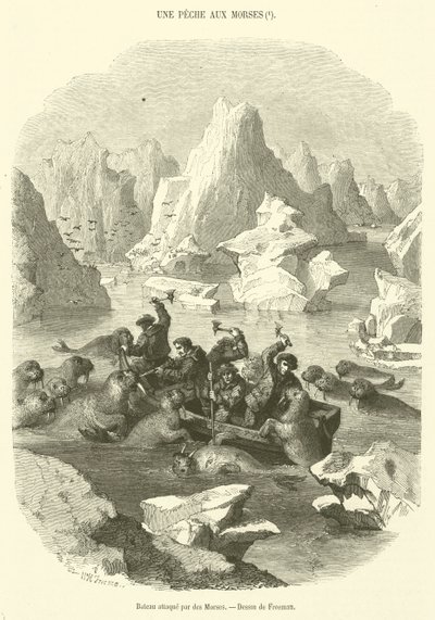 Navio atacado por morsas (gravura) de French School